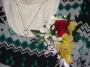 IMGP0615