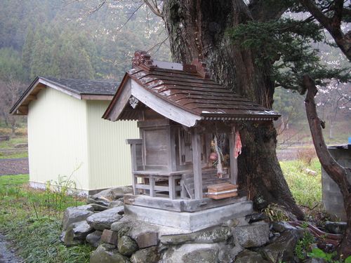 20100428_ki3_2