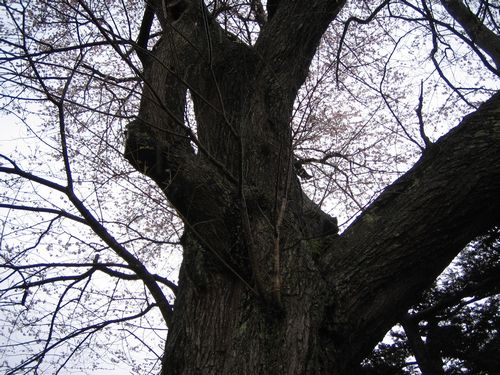 20100428_ki4_2