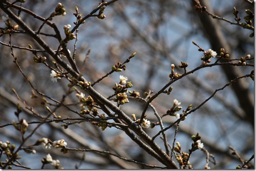 IMG_1470 IMG_1470