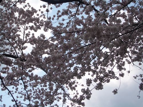 20100501_ky2