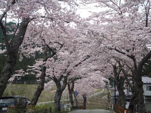 20100501_ky3