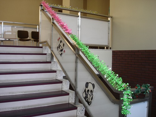 20101210_kn3 20101210_kn3