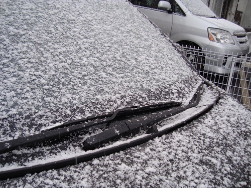 20101215_nn1 20101215_nn1