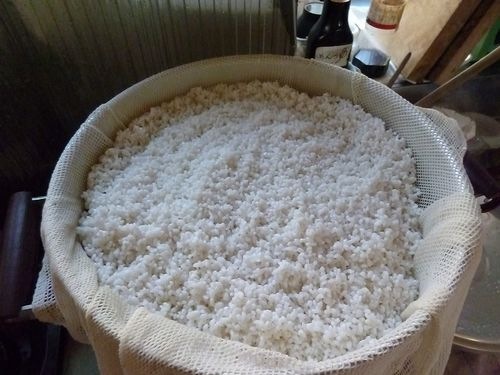 20101230_ky1 20101230_ky1