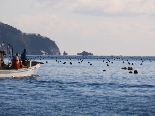 20110114_ki2 20110114_ki2