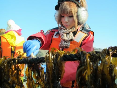 20110114_ki4 20110114_ki4