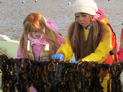 20110114_ki5 20110114_ki5