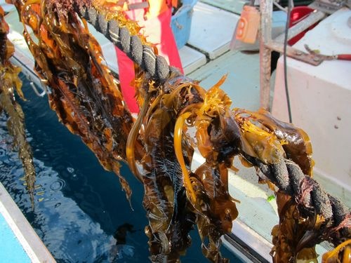 20110114_ki7 20110114_ki7