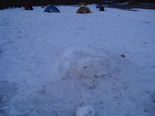 20110115_nn3 20110115_nn3