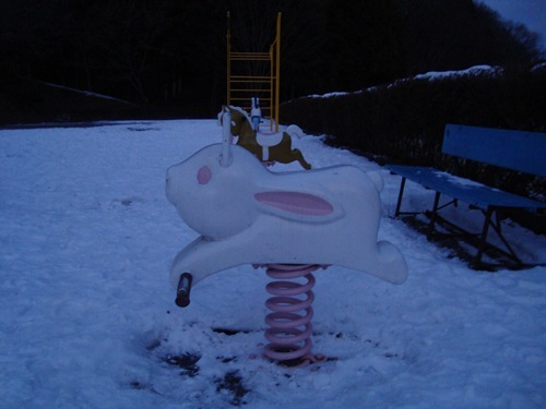 20110115_nn4 20110115_nn4