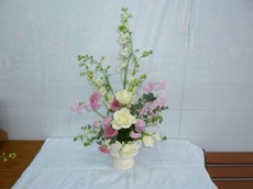 20110226_ky6