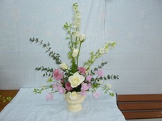 20110226_ky7