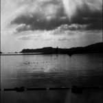 [wail] code 80LJ1115