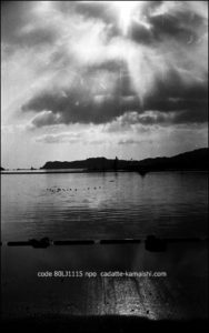 [wail] code 80LJ1115