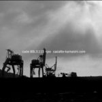 [search] code 80LJ1115