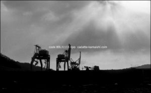 [search] code 80LJ1115