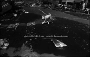 [difficulty] code 80LJ1115