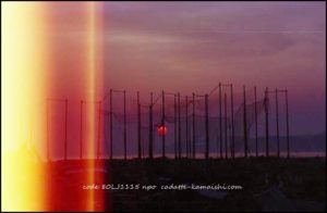 [elapse] code 80LJ1115