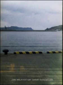 [3.11] code 80LJ1115