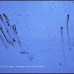 [trauma] code 80LJ1115