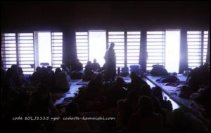 [play catch] code 80LJ1115