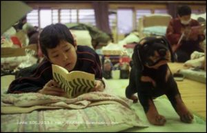 [experience] code 80LJ1115