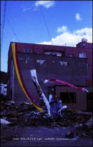 [carp streamers] code 80LJ1115