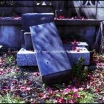 [grave] code 80LJ1115