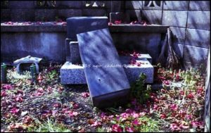 [grave] code 80LJ1115