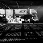 [independence] code 80LJ1115