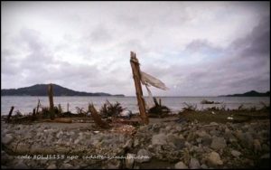 [compromise] code 80LJ1115