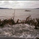 [go home] 　code 80LJ1115