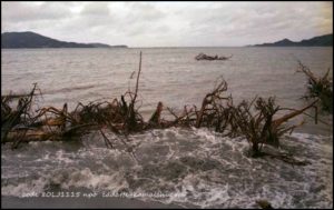 [go home] 　code 80LJ1115