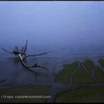 [inspection] code 80LJ1115