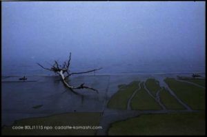 [inspection] code 80LJ1115