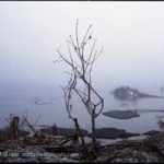 [shape] code 80LJ1115