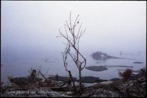 [shape] code 80LJ1115