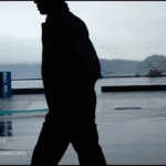 [fish market] code 80LJ1115