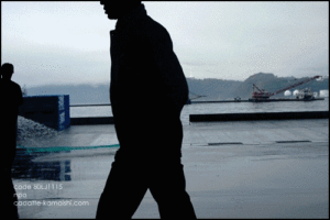 [fish market] code 80LJ1115