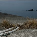 [bluff] code 80LJ1115