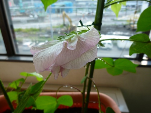 20110907_07 20110907_07