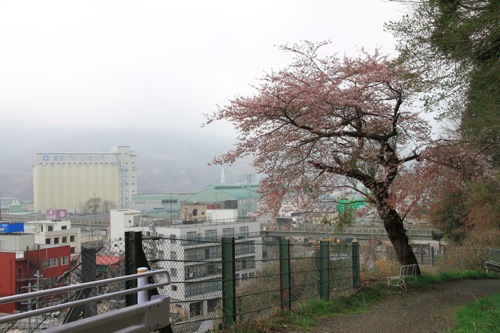 IMG_1146.jpg IMG 1146