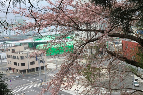 IMG_1150.jpg IMG 1150