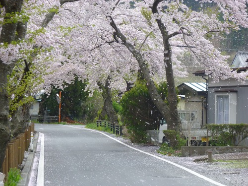 20120501_ky1 20120501_ky1