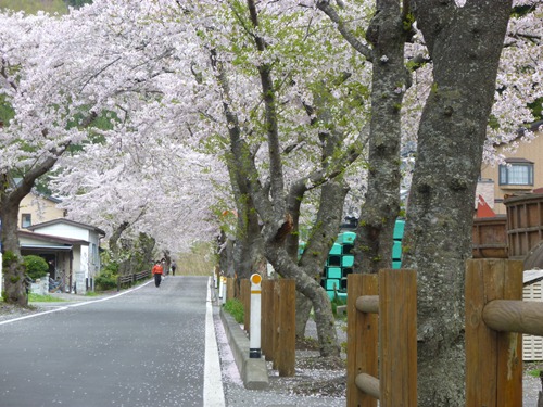 20120501_ky3 20120501_ky3