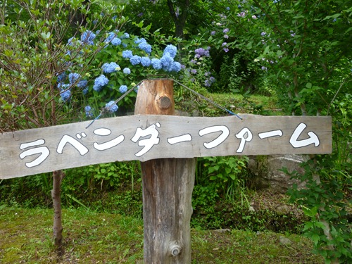 20120720_ky5