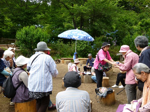 20120720_ky7