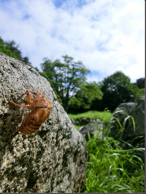 佐藤 亮太 佐藤 亮太