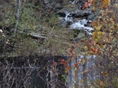 20121108_ku006-1 20121108_ku006-1